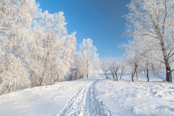 Пейзаж лето зима