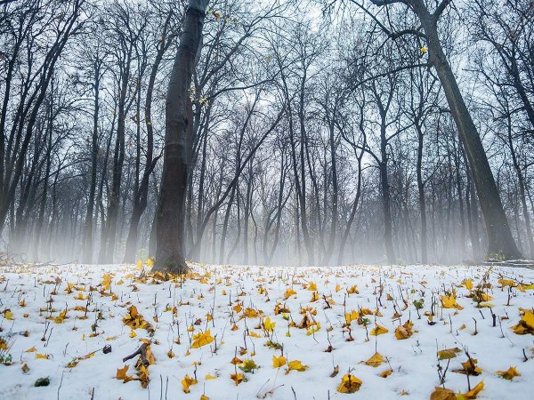 Весна и осень