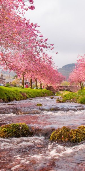 Красивые весенние пейзажи