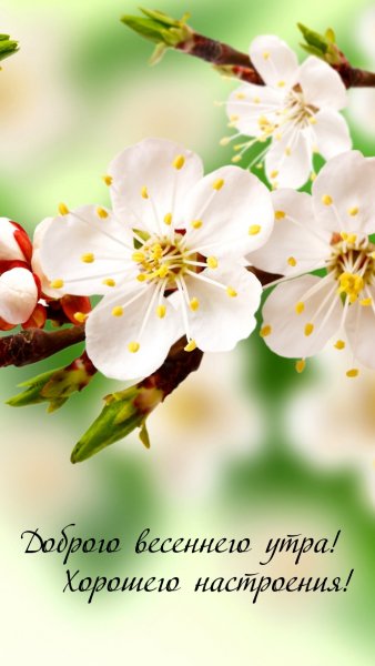 Весенняя тематика