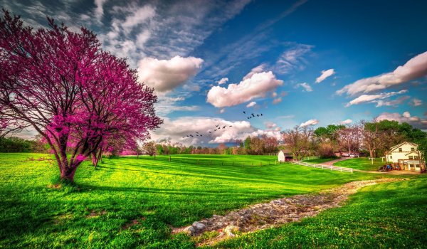 Картинки весна природа хорошего качества (70 фото) » Картинки и статусы про  окружающий мир вокруг