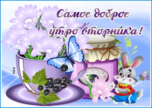 Вторник с добрым утром цветы