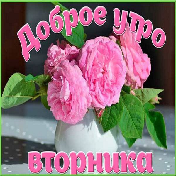 Открытки с добрым утром вторника