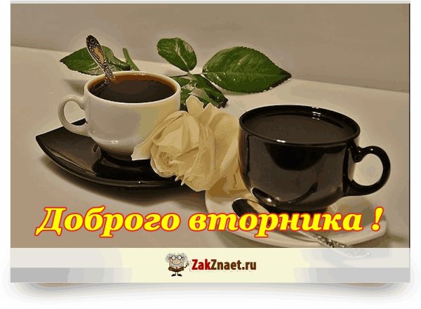 С добрым утром одуванчики