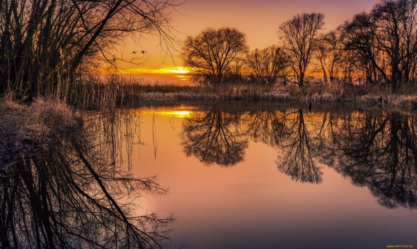 Рассвет весной