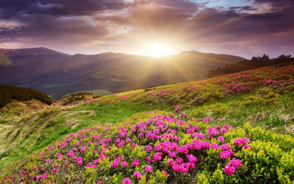 Красивый рассвет