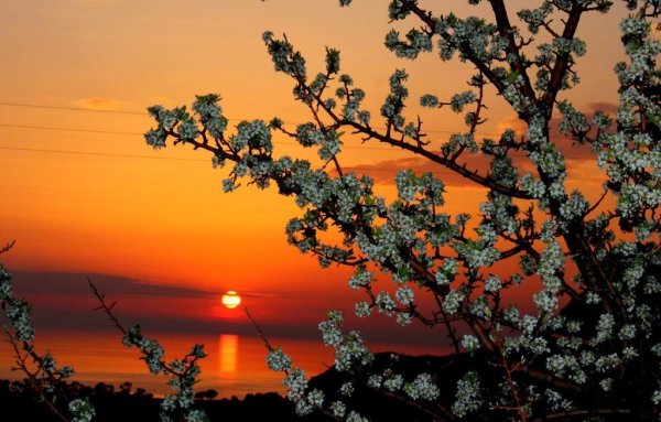 Красивый весенний закат