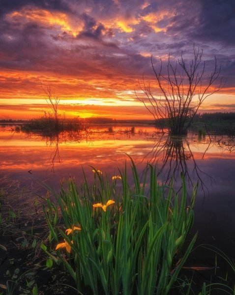 Прекрасная природа