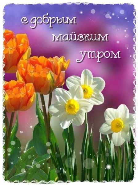 Отличных весенних выходных