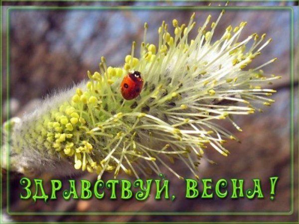 Открытки Здравствуй Весна