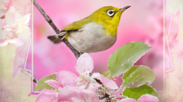 Красивые открытки с весной наступившей