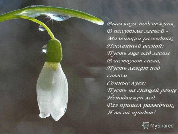 Весна прекрасная пора надпись