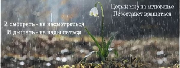 Красивые высказывания о весне