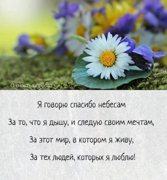 Счастье просто жить и жить