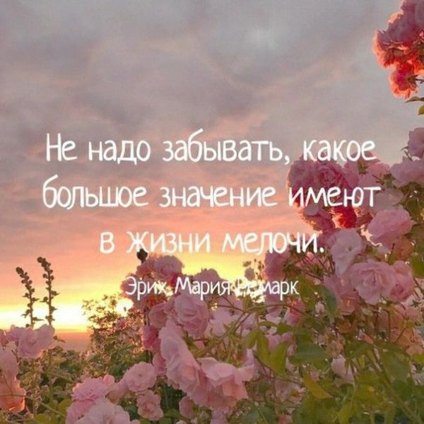 Афоризмы о радости жизни