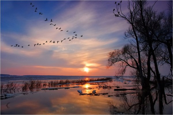 Весна вечер