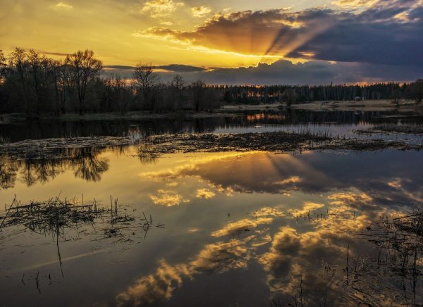 Весенний закат