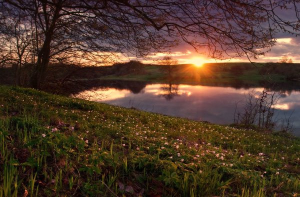 Сергей Есенин весенний вечер