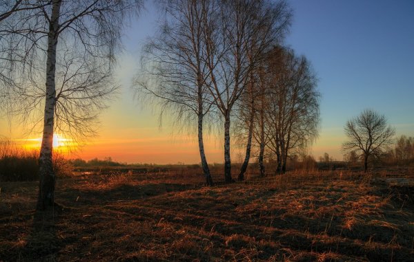 Вечерний весенний пейзаж