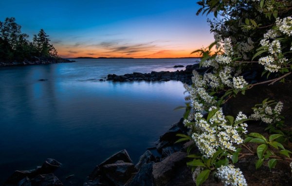 Весенние пейзажи природы