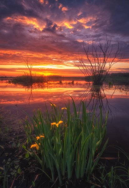 Вечерний пейзаж