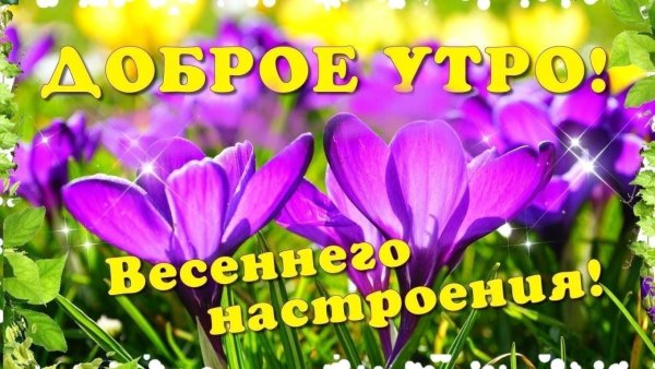Доброе утро весеннего настроения