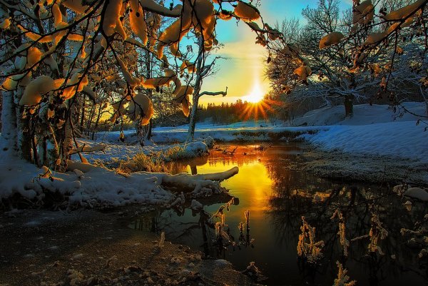 Февраль природа