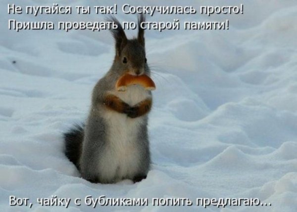 Весна открытки прикольные