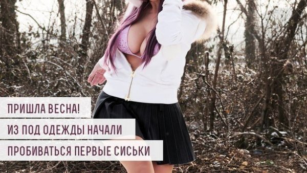 Весенние коты