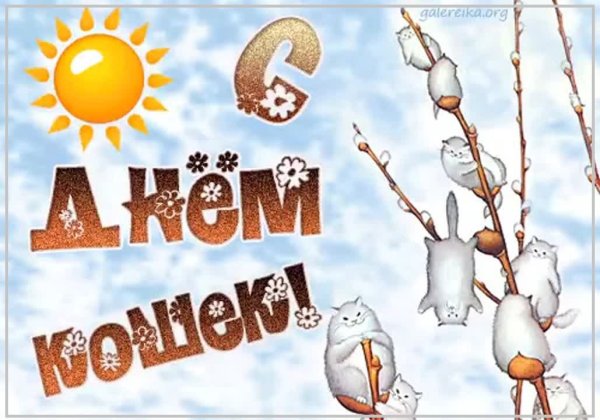 День весны и кошек