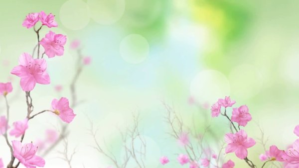 Фон с цветочками нежный