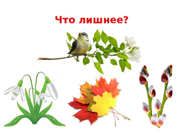 Четвертый лишний Весна