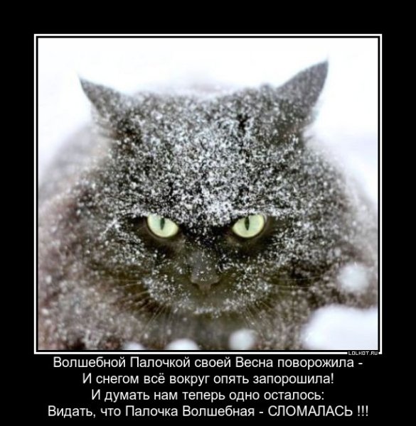 Весна любовь юмор