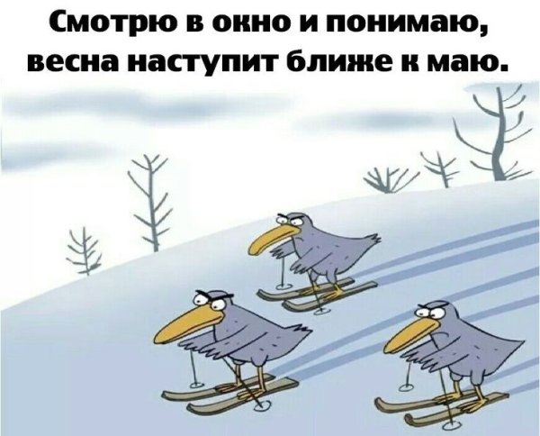 Холодно юмор