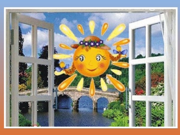 Желтые цветы на окне