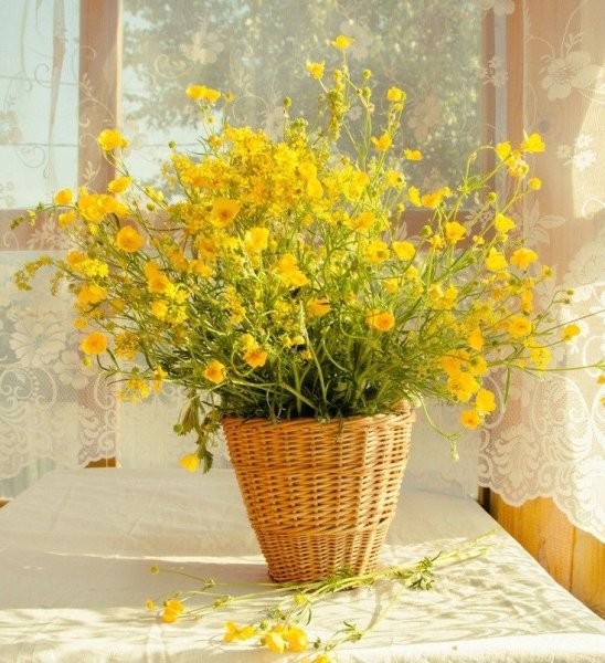 Утро доброе в окошко Весна