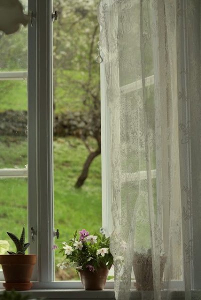 Проснуться утром и взглянуть в окно