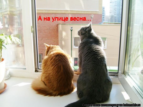 Зима вернулась