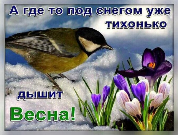 Когда уже Весна картинки