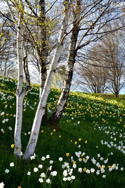 Конец зимы начало весны