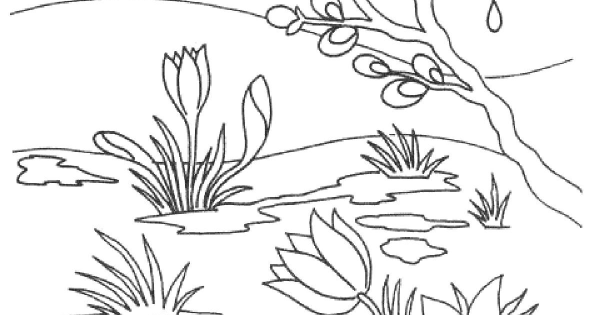 Раскраска зима Весна лето осень