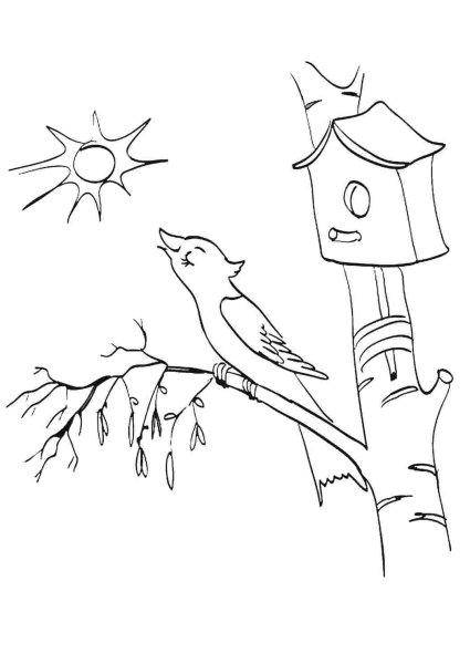 Подснежник раскраска