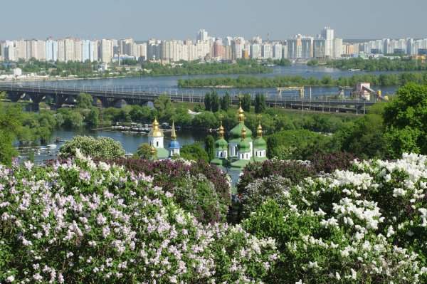 Дон Ростов на Дону весной
