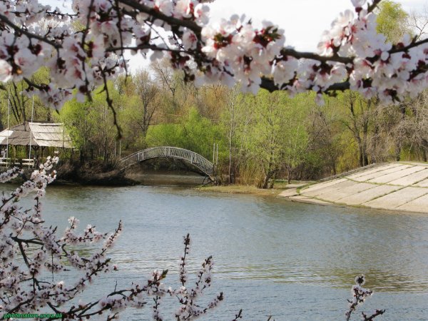 Ранняя Весна в Краснодаре