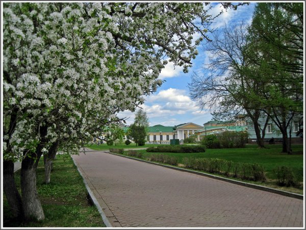 Центральный парк Нью-Йорк весной