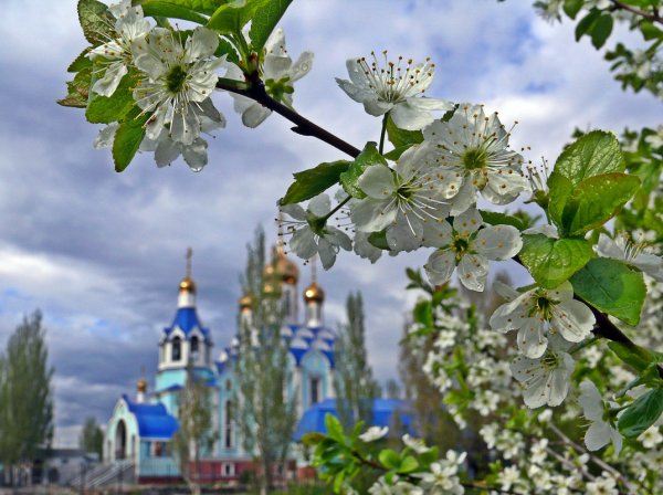 Ранняя Весна парк деревья