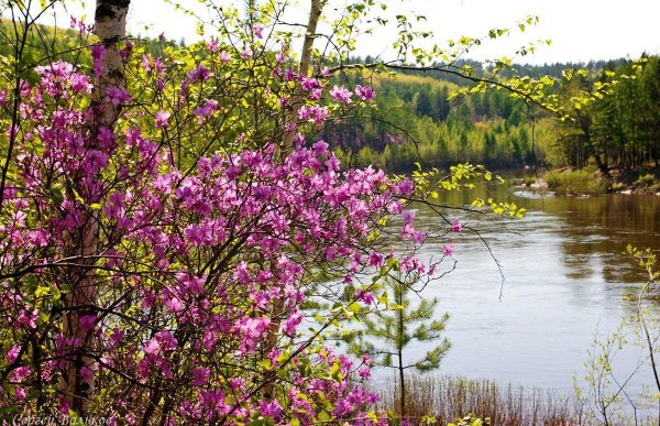 Весна апрель