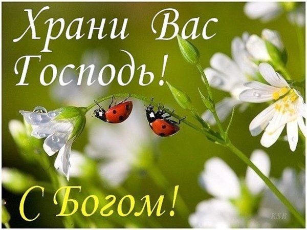 Хранит вас Бог