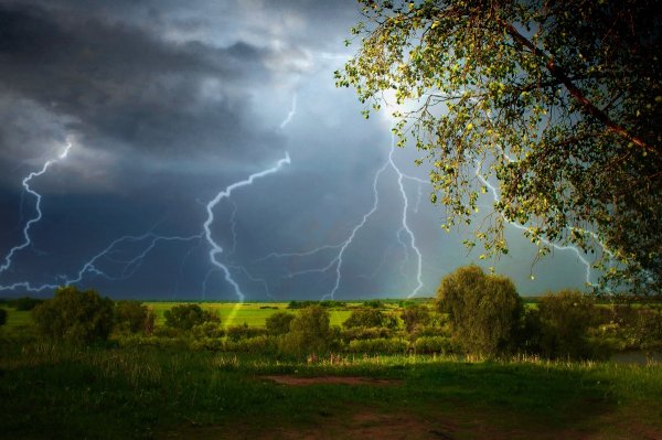 Лето гроза