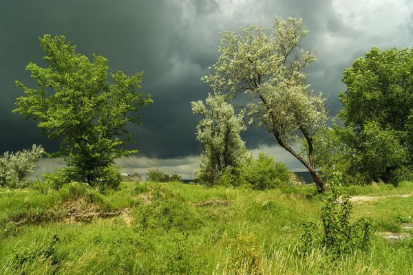Майская гроза